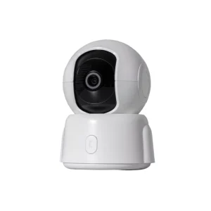 IP Camera